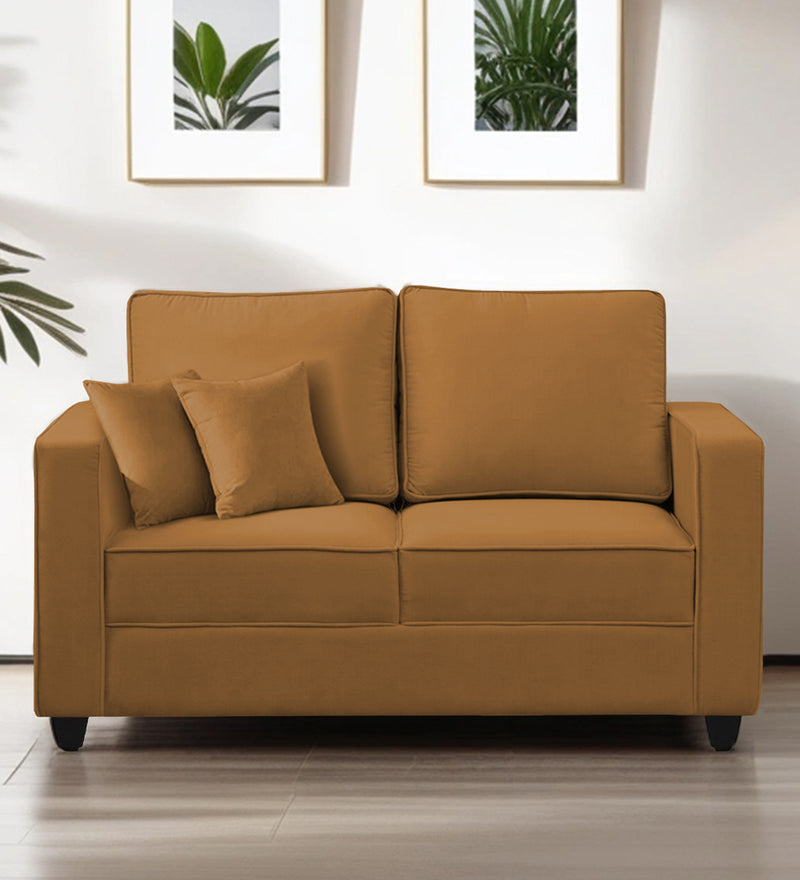 Aristocrat Velvet 2 Seater Sofa in Mocha Colour