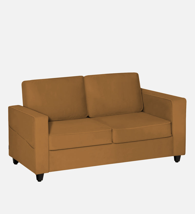 Aristocrat Velvet 2 Seater Sofa in Mocha Colour