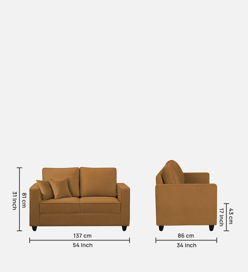 Aristocrat Velvet 2 Seater Sofa in Mocha Colour