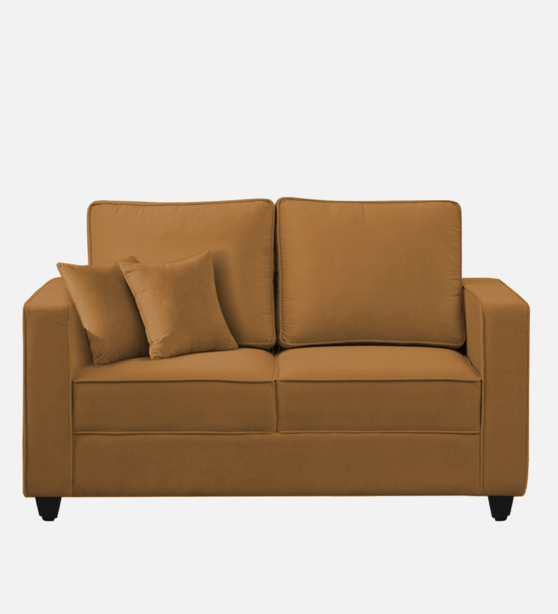 Aristocrat Velvet 2 Seater Sofa in Mocha Colour
