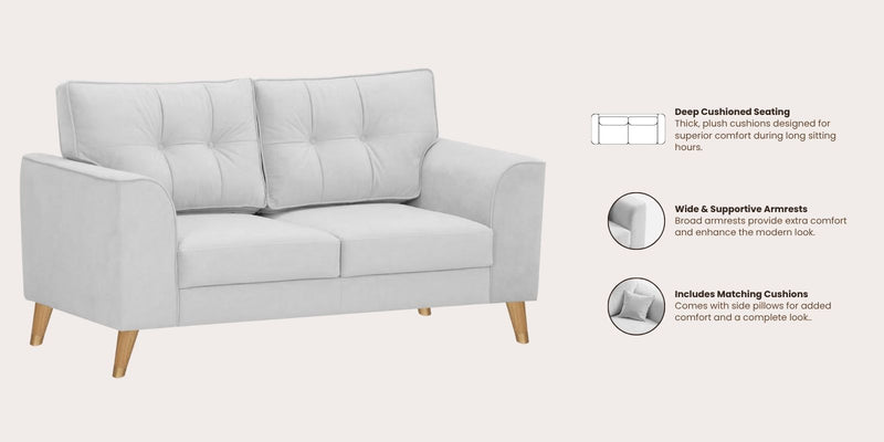 Opera Luxury Velvet Fabric 2 seater Sofa in Grey Colour