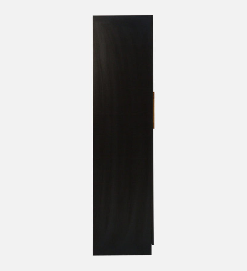 Maya 2 Door Wardrobe With Mirror In Black Wenge Colour