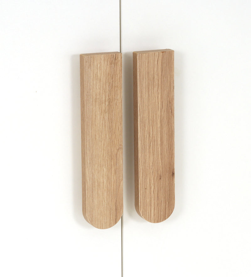 Opera 2 Door Wardrobe In Oak & Frosty White Colour