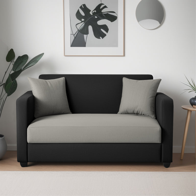 Riya 2 Seater Fabric sofa