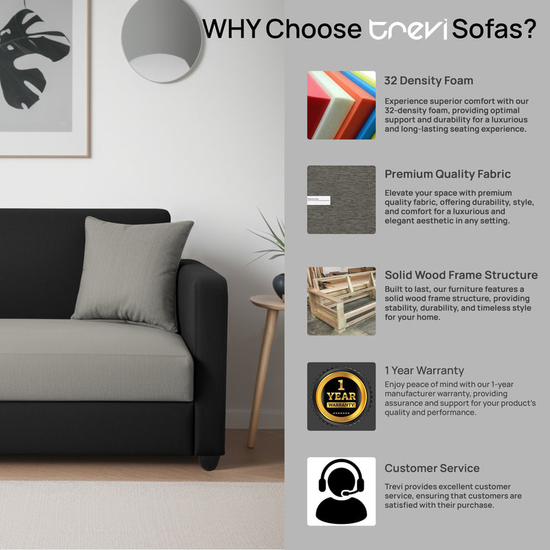 Riya 2 Seater Fabric sofa