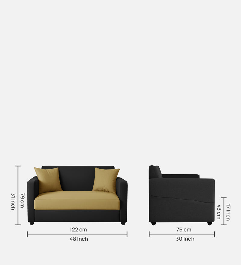 Riya 2 Seater Fabric sofa
