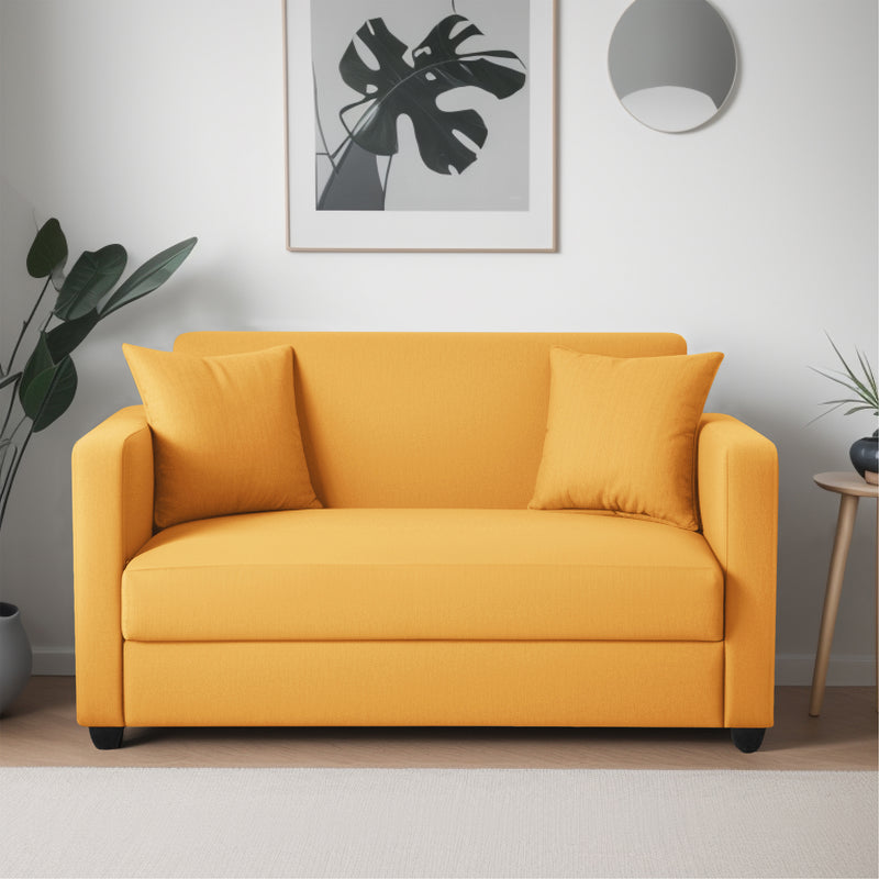 Riya 2 Seater Fabric sofa