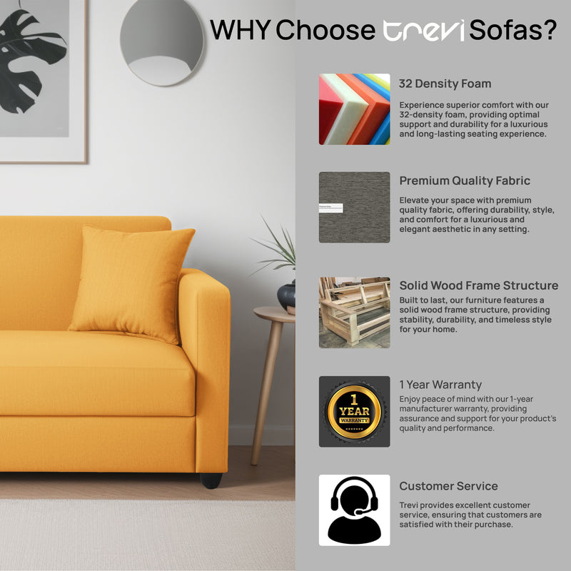 Riya 2 Seater Fabric sofa