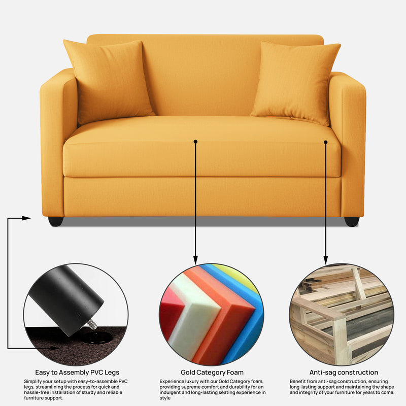 Riya 2 Seater Fabric sofa