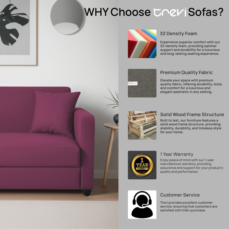 Riya 2 Seater Fabric sofa