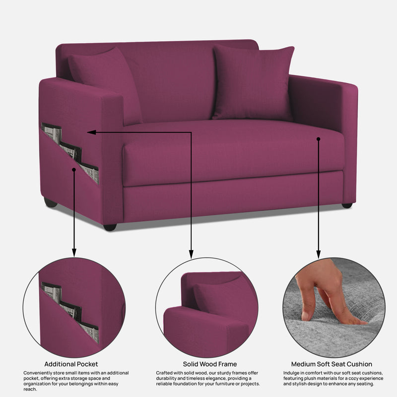 Riya 2 Seater Fabric sofa