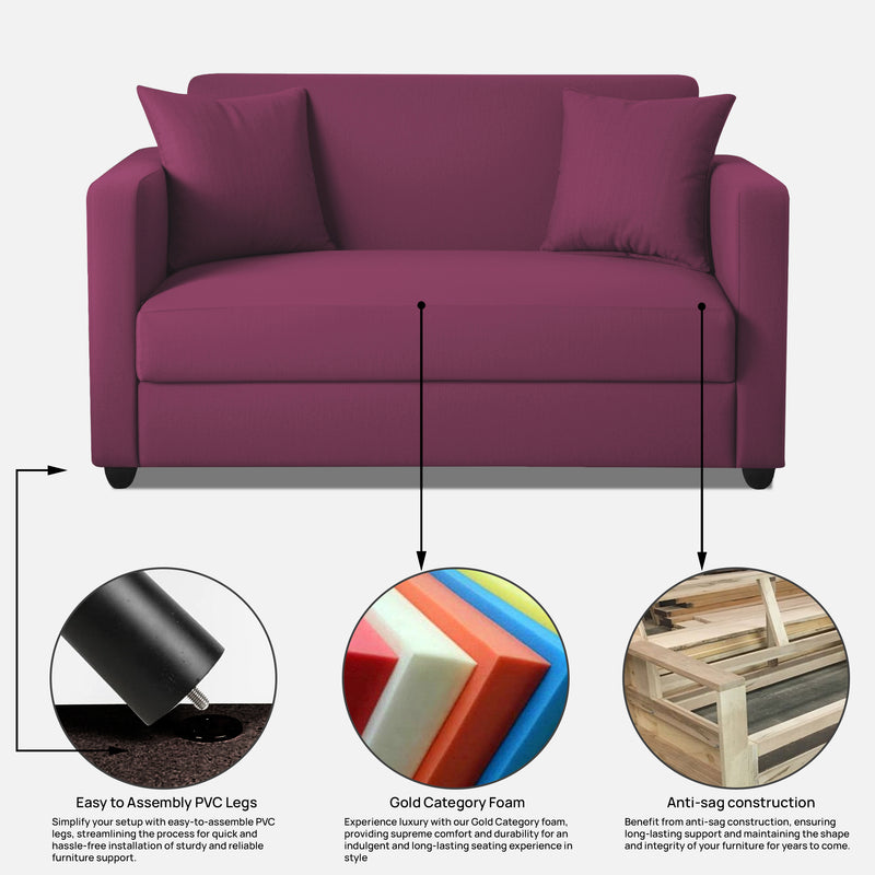 Riya 2 Seater Fabric sofa