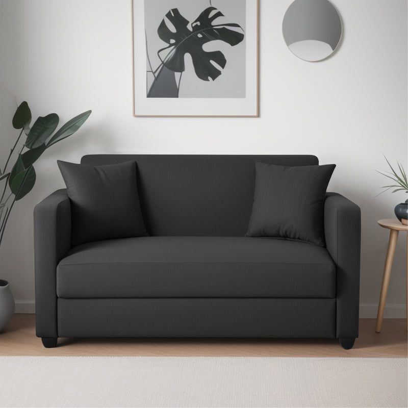 Riya 2 Seater Fabric sofa