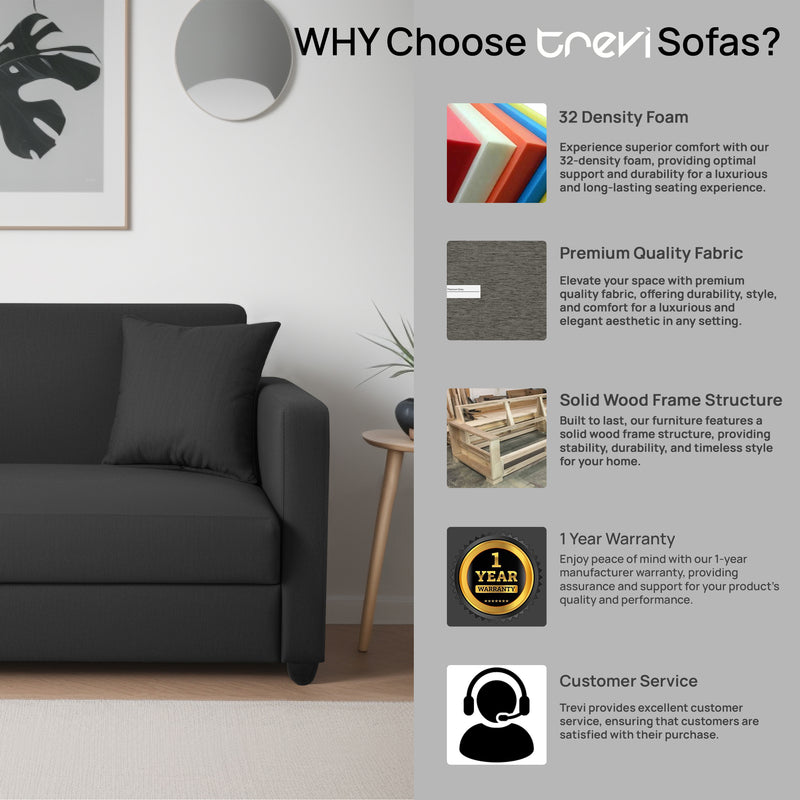 Riya 2 Seater Fabric sofa