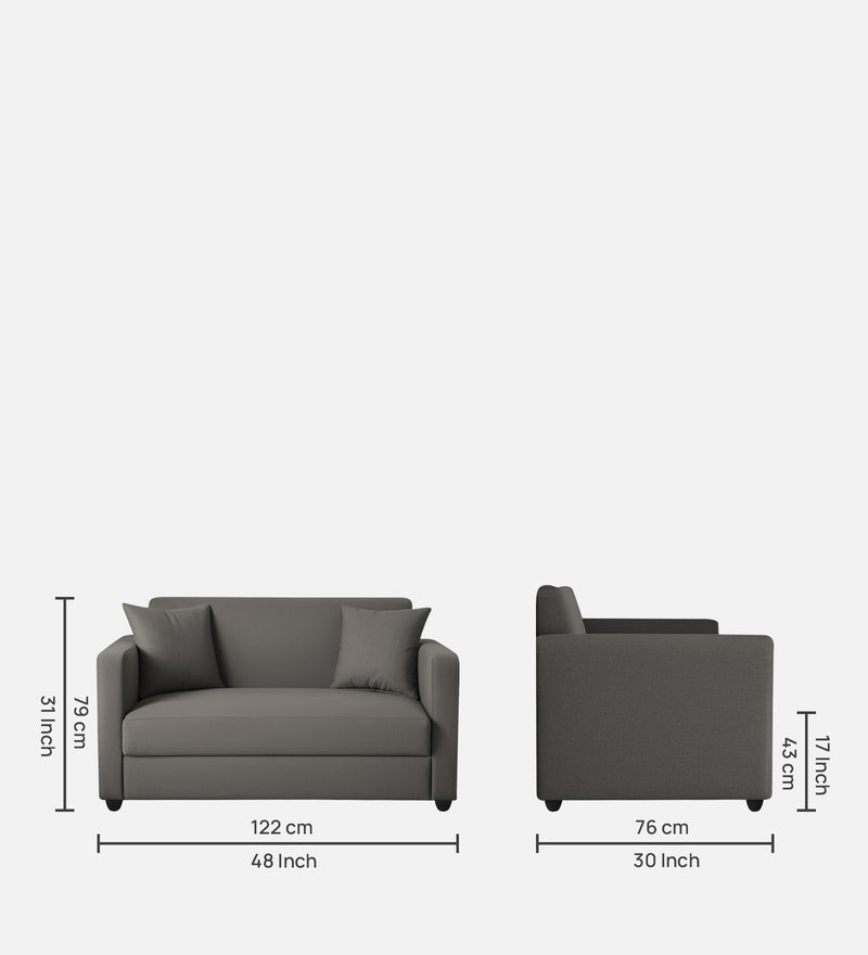 Riya 2 Seater Fabric sofa