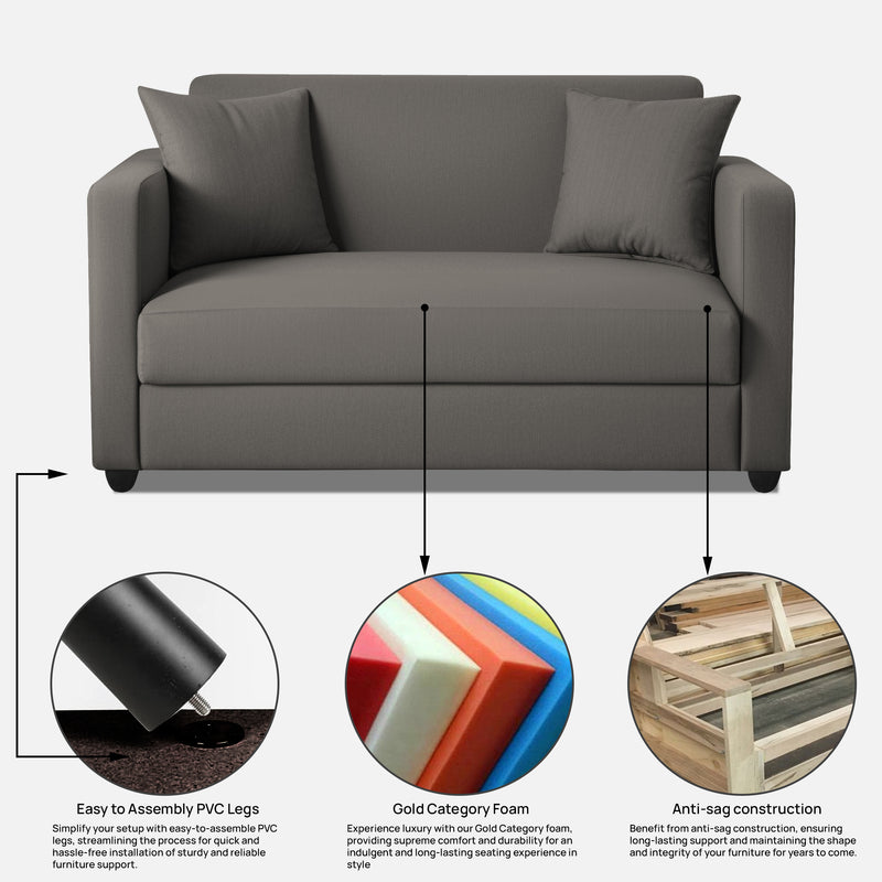 Riya 2 Seater Fabric sofa