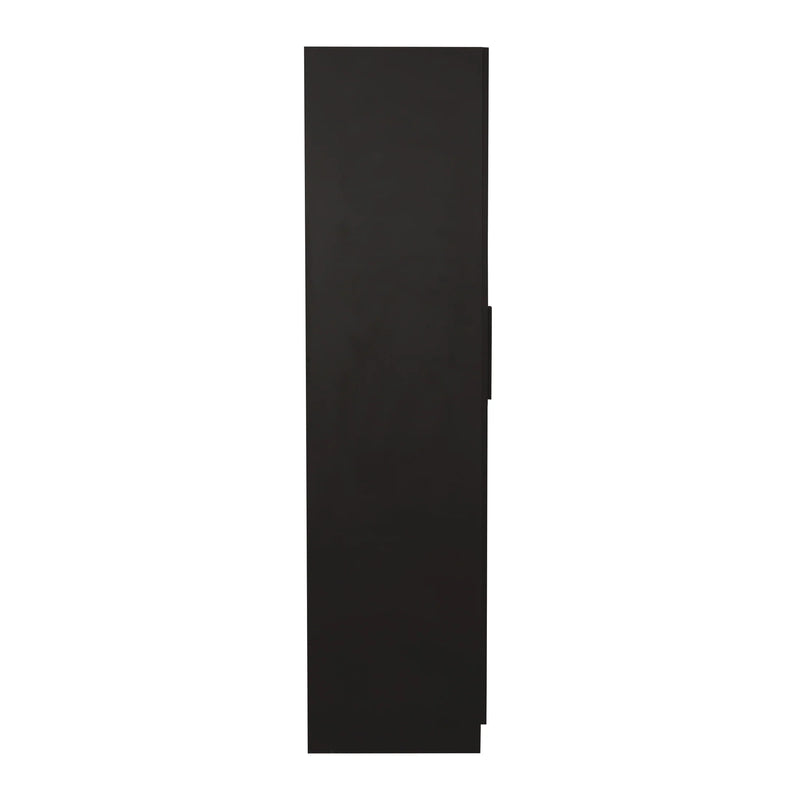 Ozone With Mirror Engineered Wood 2 Door Wardrobe (Finish Color - Wenge, Mirror Included, Knock Down)
