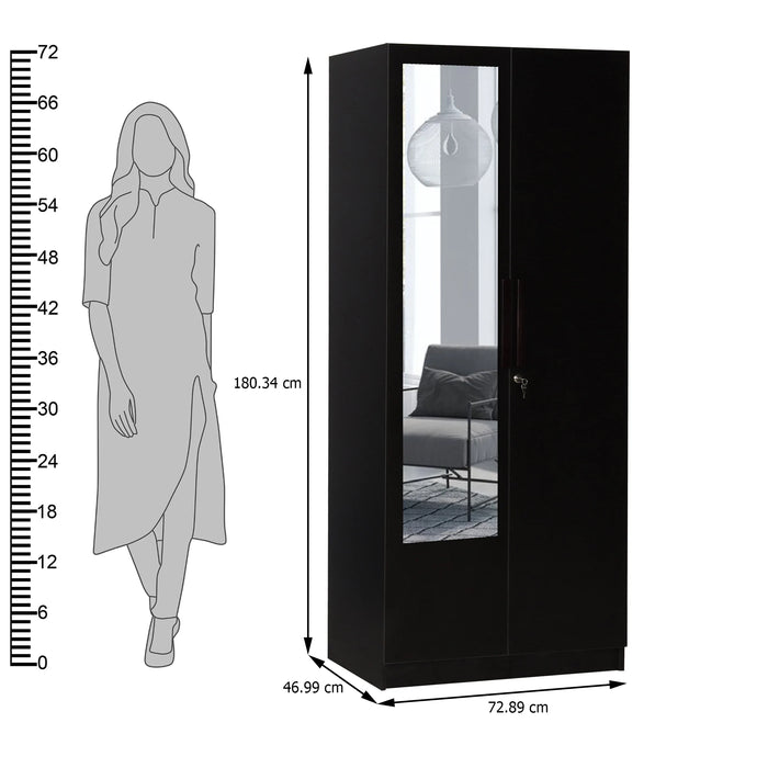 Ozone With Mirror Engineered Wood 2 Door Wardrobe (Finish Color - Wenge, Mirror Included, Knock Down)